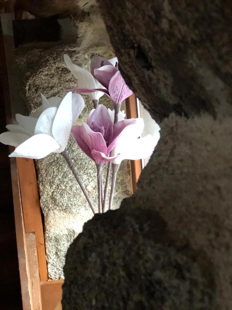 El Balconcillo Del Alberche Βίλα Navaluenga Εξωτερικό φωτογραφία